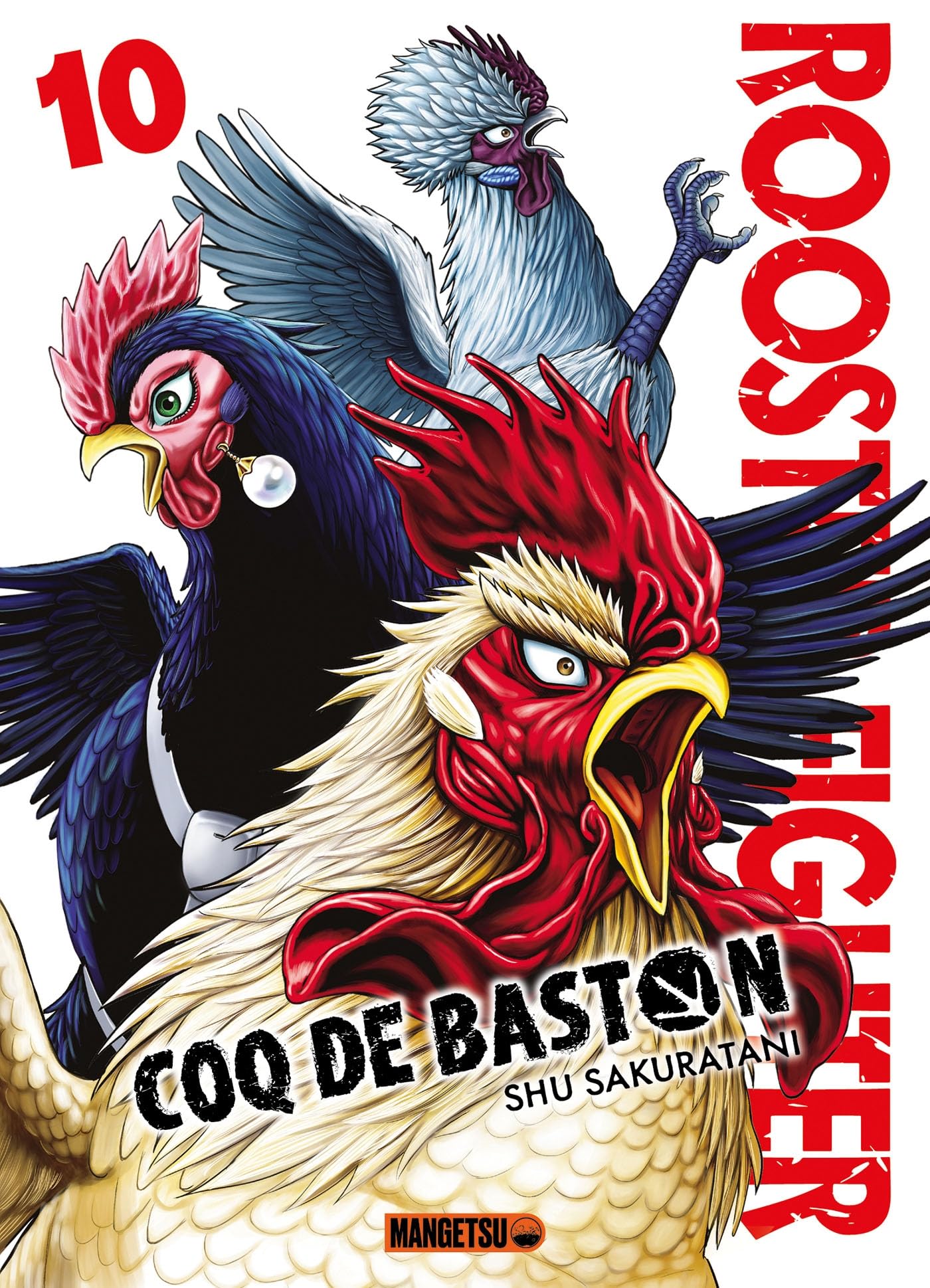 Rooster Fighter - Coq de Baston