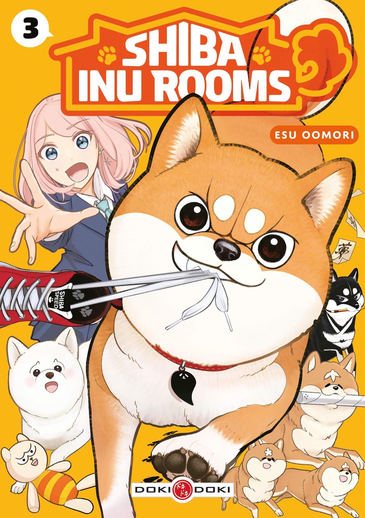 Shiba Inu Rooms